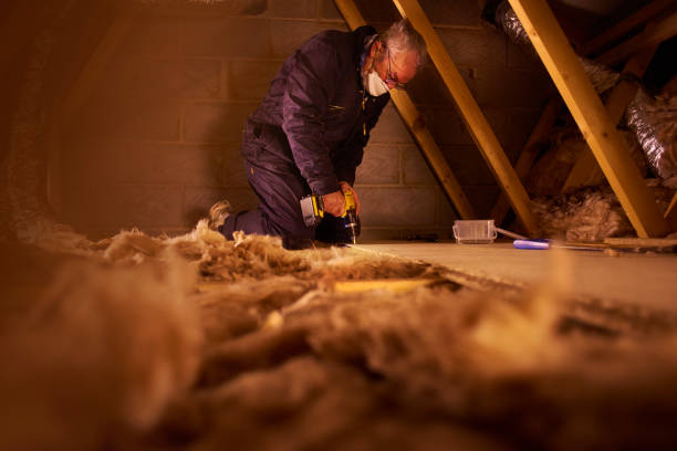 Best Batt and Roll Insulation  in South Miami, FL